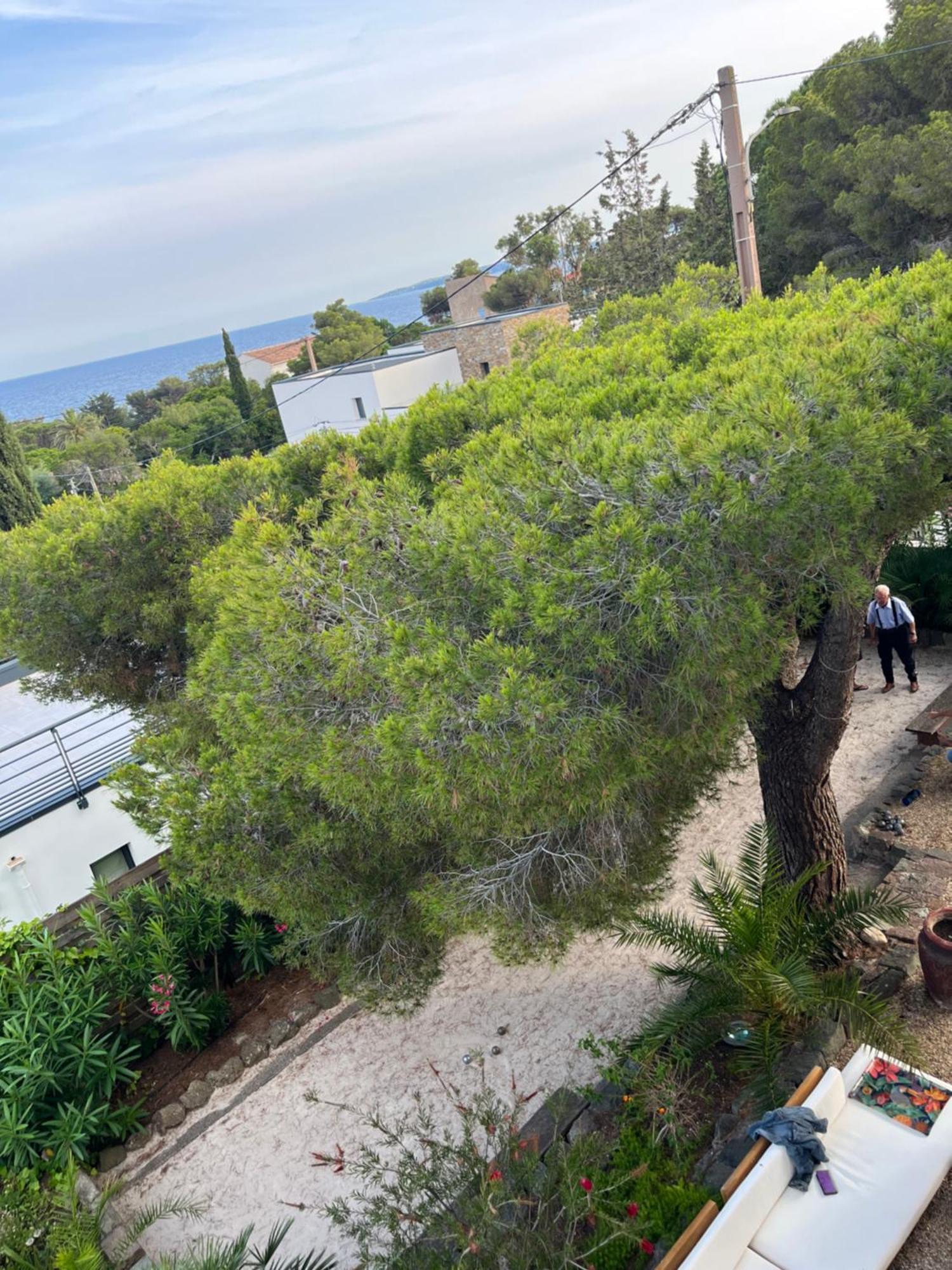Villa Paradis Les Issambres Buitenkant foto